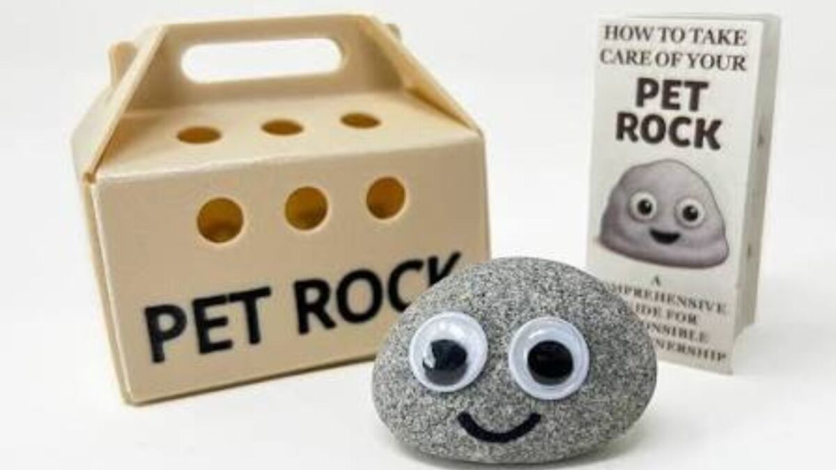A Rock, A Fart Jar And Dog Sunglasses: 10 Ridiculous Ideas That Made Millions