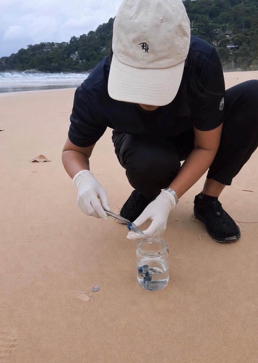 The ban was introduced after routine beach patrols detected the presence of these dangerous sea creatures in parts of Mu Ko Lanta National Park and Hat Noppharat Thara-Mu Ko Phi Phi National Park. Authorities acted quickly to prevent any risk to tourists and locals visiting the beaches. The ban was introduced after routine beach patrols detected the presence of these dangerous sea creatures in parts of Mu Ko Lanta National Park and Hat Noppharat Thara-Mu Ko Phi Phi National Park. Authorities acted quickly to prevent any risk to tourists and locals visiting the beaches.