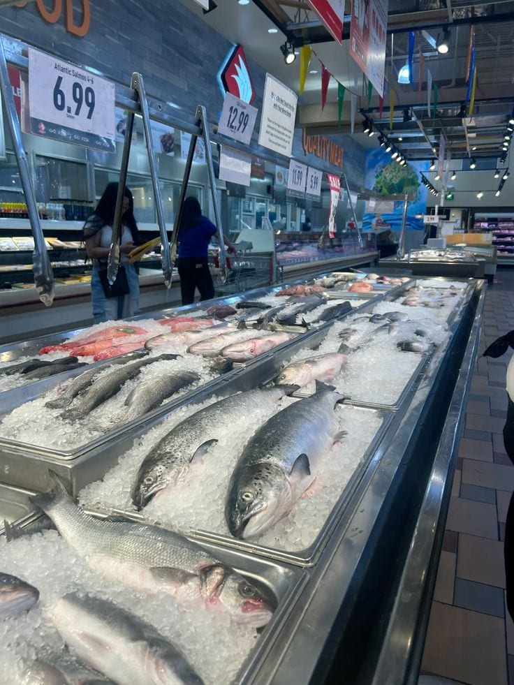  The fish is sold to countries like China, Japan and Singapore. The fish meat is also frozen and exported to other countries.