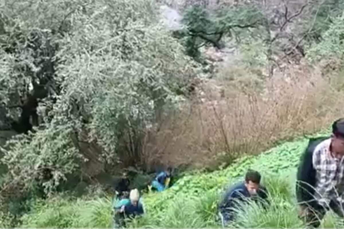 Noida Trekker Missing On Uttarakhand’s Pindari Glacier Route, SDRF Launches Search