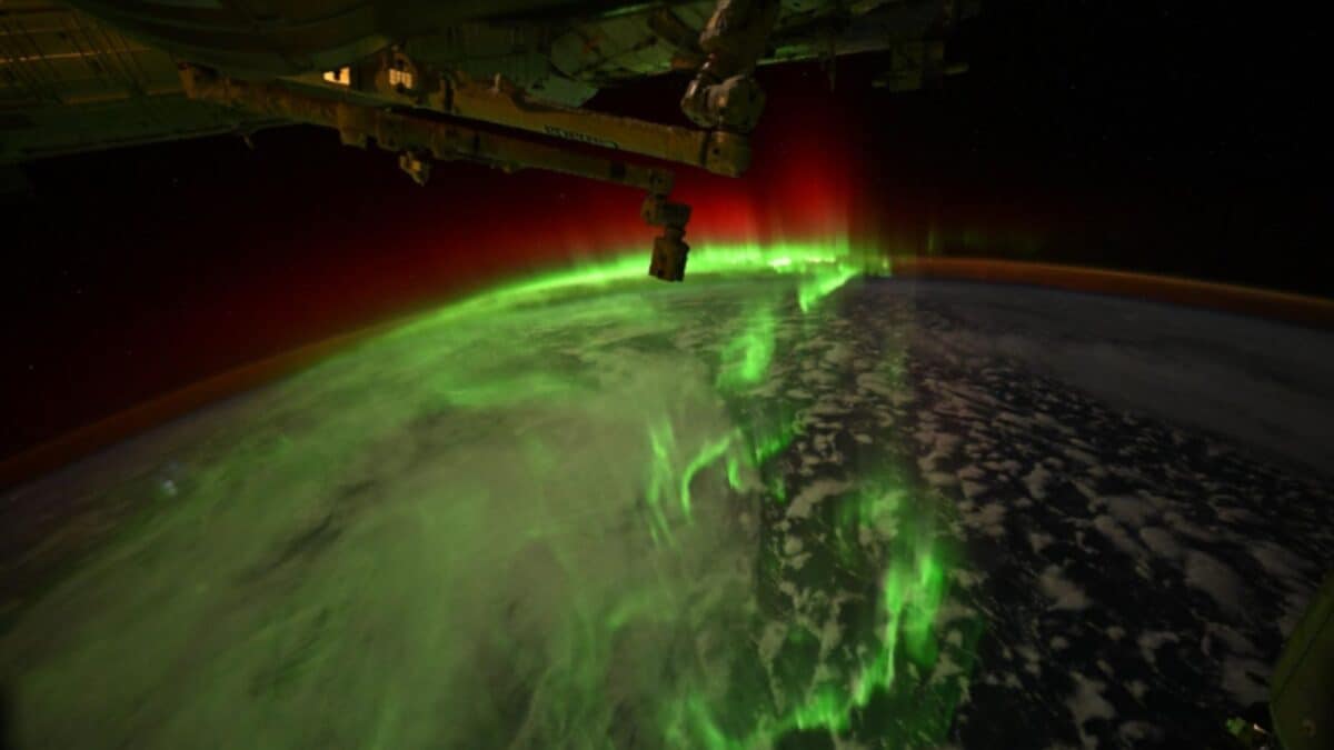 'Danced, Snaked Its Way Below Us': NASA Astronaut Captures Stunning Southern Lights From SpaceX