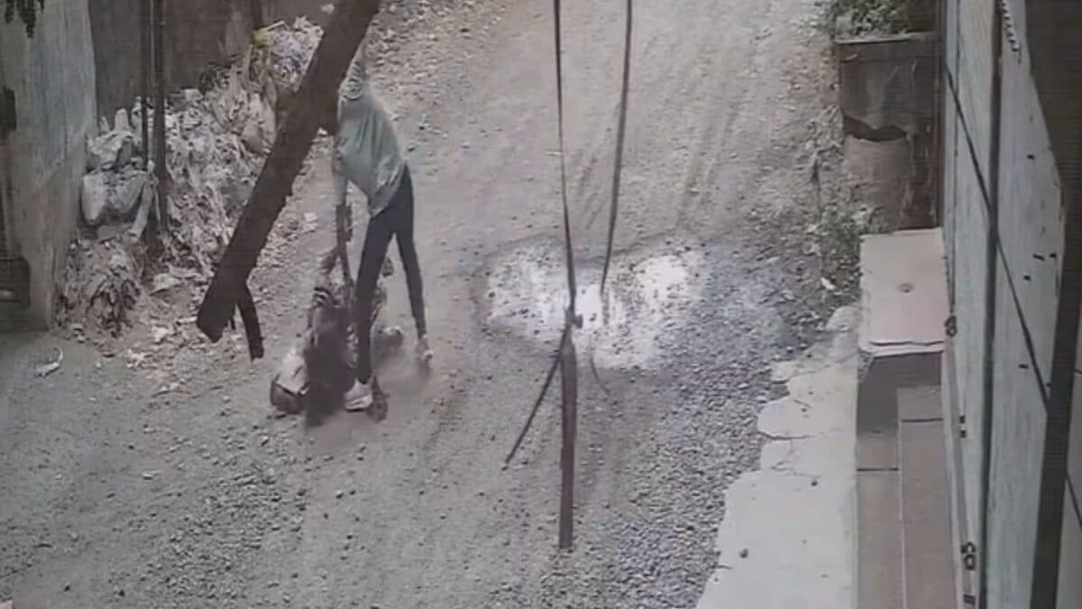 Caught On Cam: Maharashtra Government Employee Stabbed Multiple Times In Neck, Back By Colleague