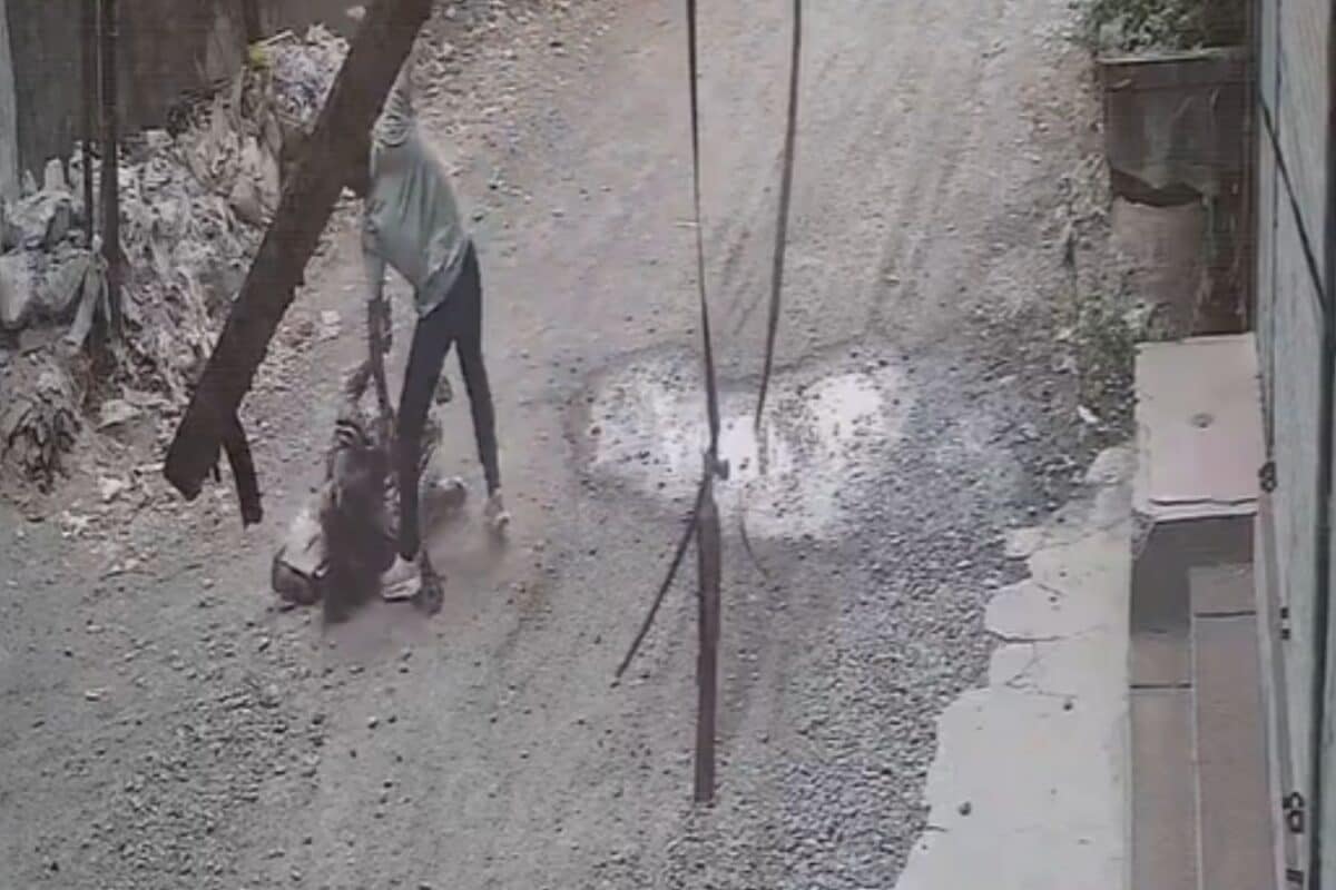 Caught On Cam: Maharashtra Government Employee Stabbed Multiple Times In Neck, Back By Colleague