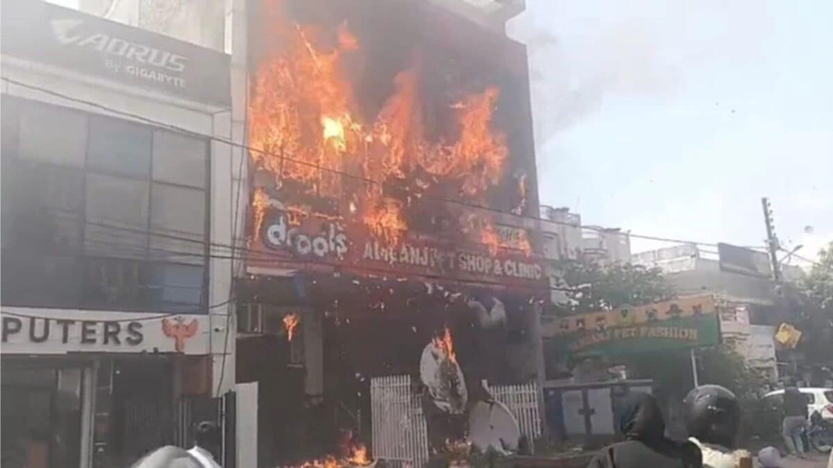 Dramatic Visuals From Lucknow As Students Jump From Coaching Centre To Escape Massive Fire | Video