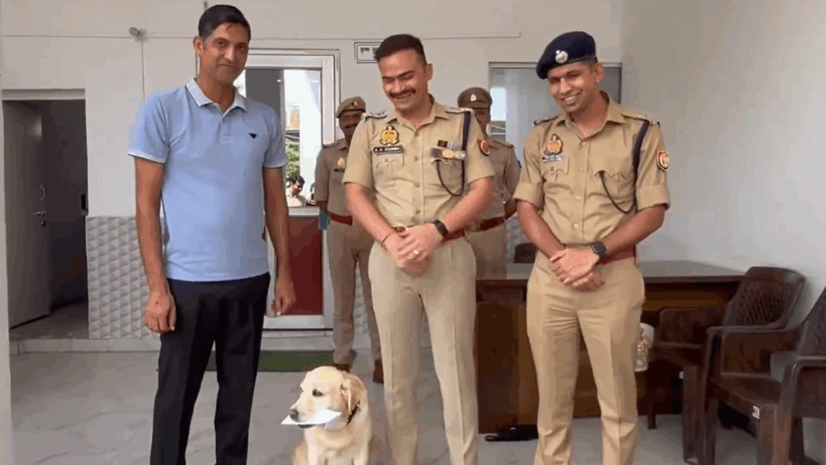 Not All Heroes Wear Capes: 7-Year-Old Labrador In UP Helps Police Crack Sexual Assault Case, Accused Held