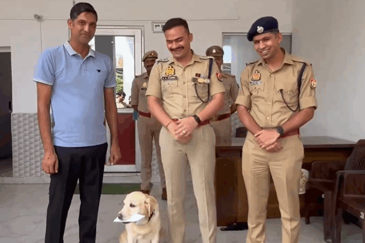 Not All Heroes Wear Capes: 7-Year-Old Labrador In UP Helps Police Crack Sexual Assault Case, Accused Held