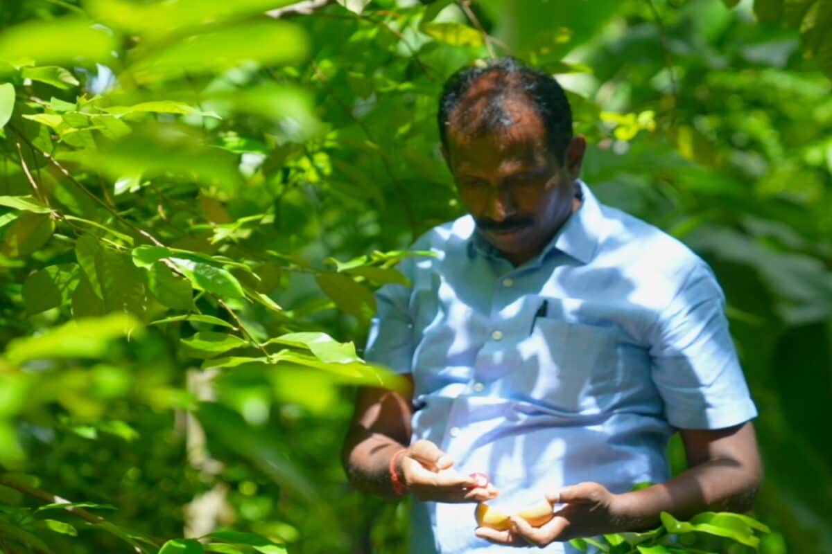 'Save Soil' Calls For Policy Support To Expand Tree-Based Farming On World Environment Day