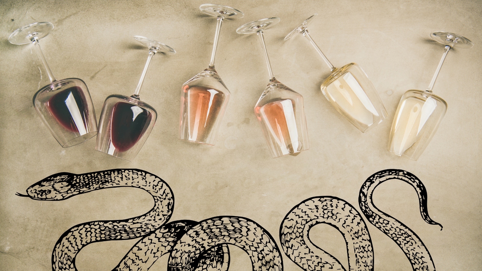 Snake In A Bottle? The Bizarre Alcohol That Has Been Around For Centuries