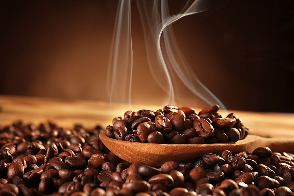 Wayanad Robusta: Thriving in the lush, high-rainfall environment of Kerala, this premium Robusta challenges all assumptions about the bean. It delivers a punchy, high-caffeine experience with a heavy body and virtually no acidity, yielding a smooth, intensely bold taste with nutty notes.