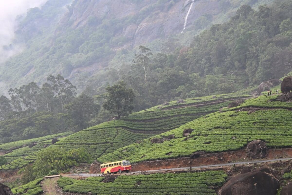 Misty Hills, Waterfalls And Forests: 10 Must-Visit Places In The Western Ghats This Monsoon