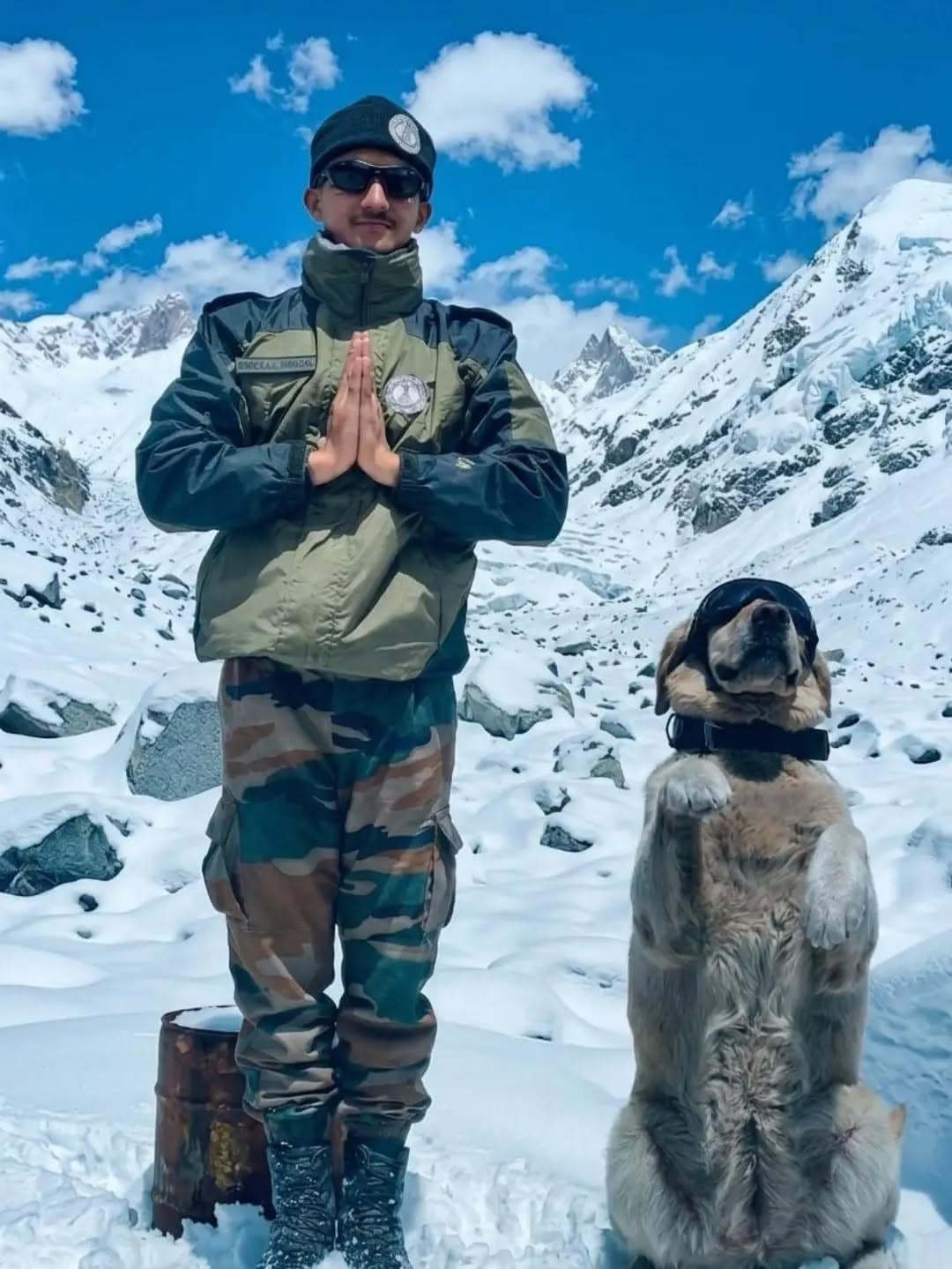  Indian Army And Sniffer Dogs Mark Yoga Day In Sub-Zero Siachen