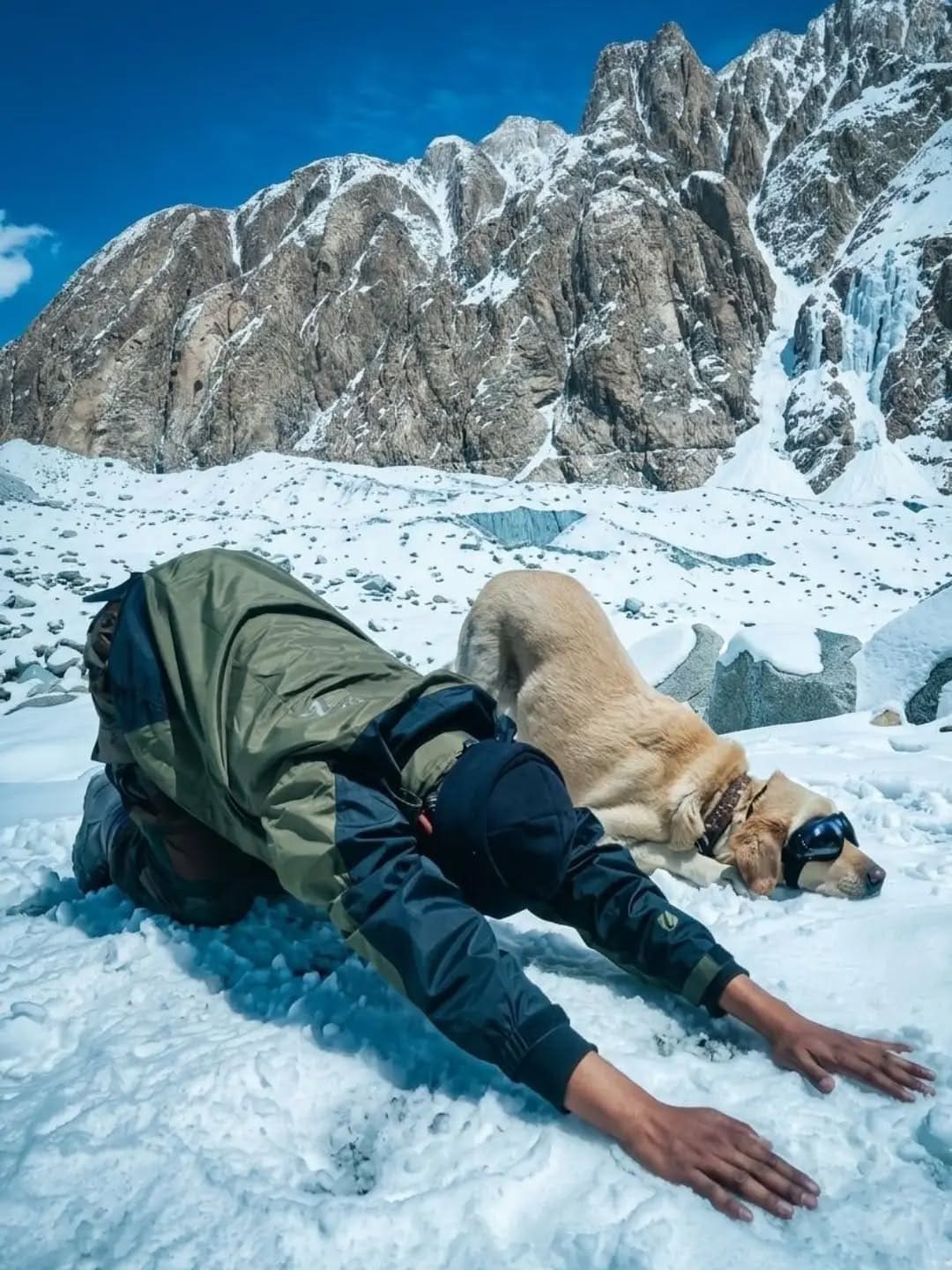  Indian Army And Sniffer Dogs Mark Yoga Day In Sub-Zero Siachen
