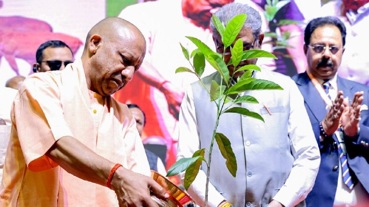 UP Social Welfare Department To Assign Unique Digital IDs To Trees In Schools, Hostels