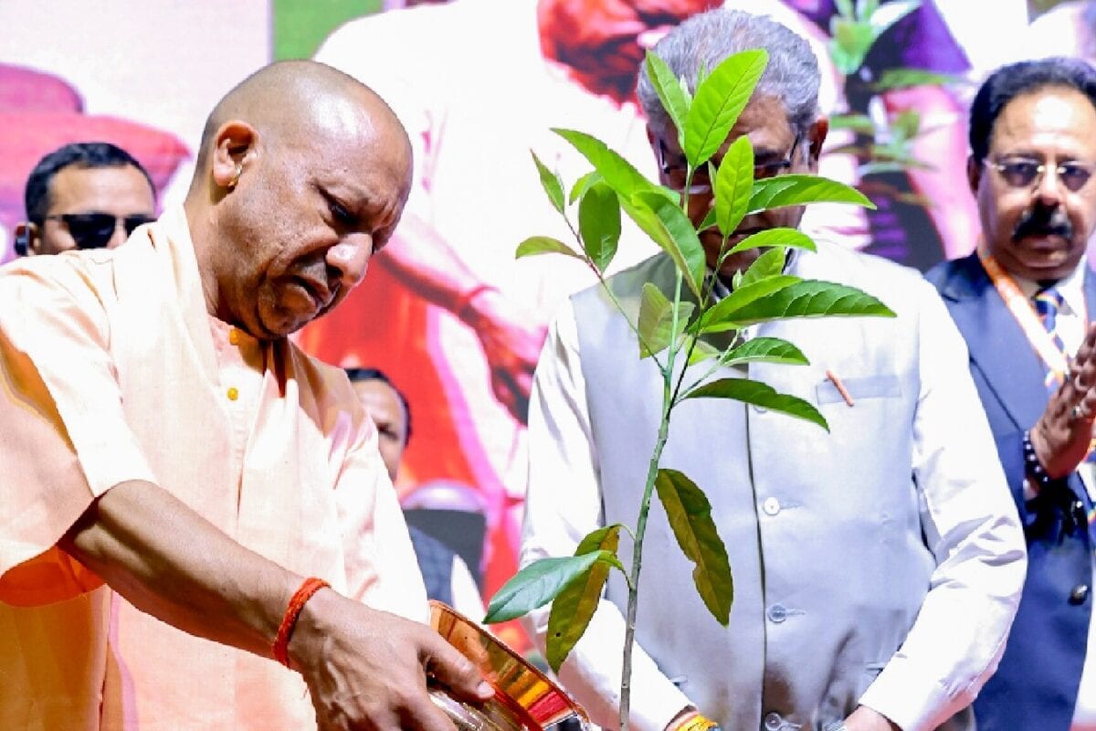 UP Social Welfare Department To Assign Unique Digital IDs To Trees In Schools, Hostels