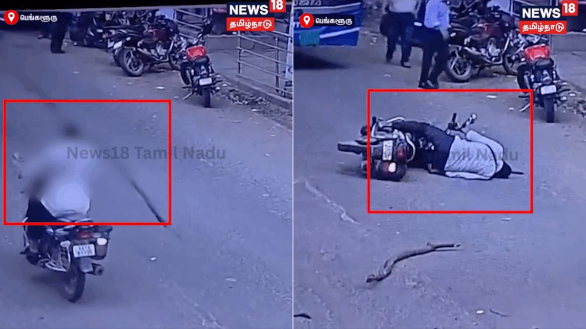 CCTV Catches The Second A Tree Branch Fell On A Biker's Head In Bengaluru — He's Now In Coma