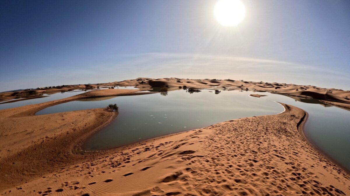 Nearly 50 Die Of Thirst In Sahara Desert In Niger After Truck Breaks Down | World News