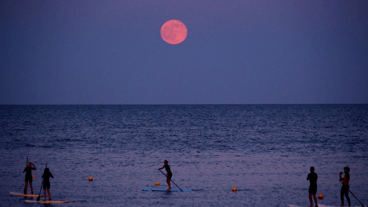 Strawberry Moon 2026: When And How To Watch It In India