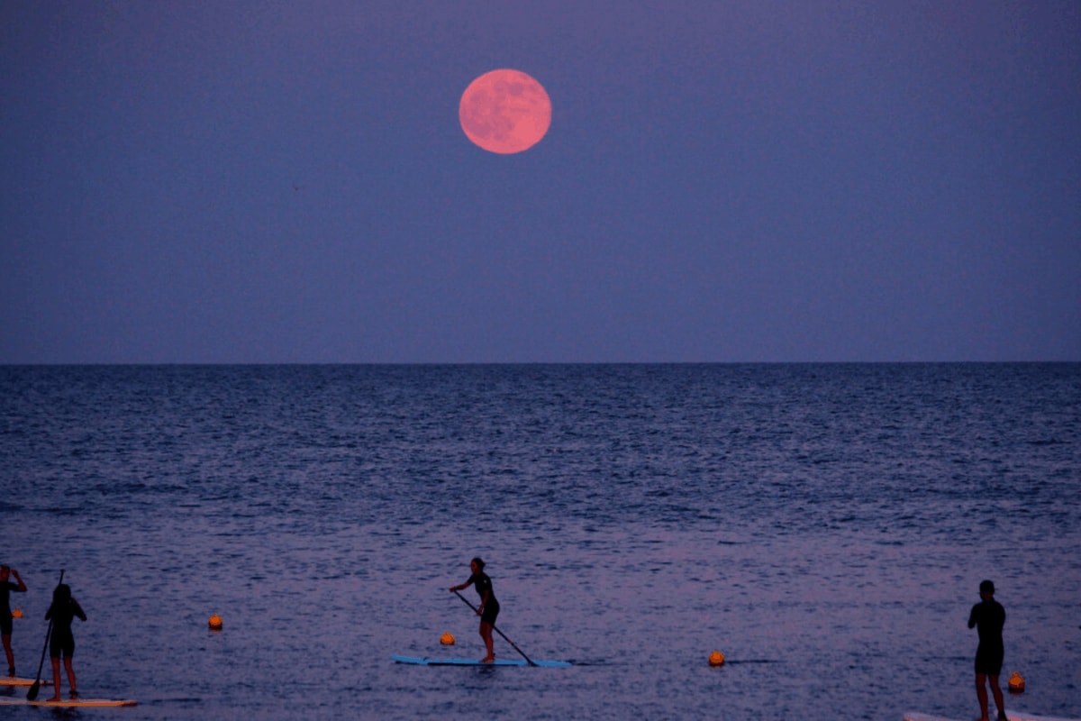 Strawberry Moon 2026: When And How To Watch It In India