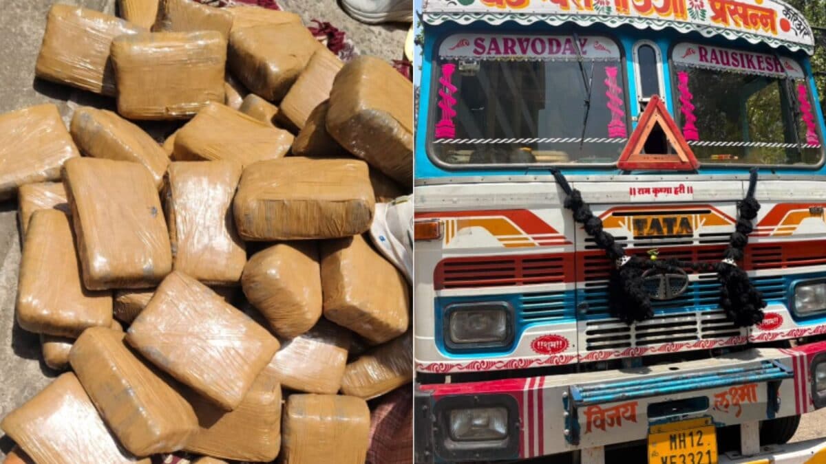 DRI Seizes Over 522 Kg Cannabis Worth Rs 2.61 Crore In Nagpur, Two Arrested