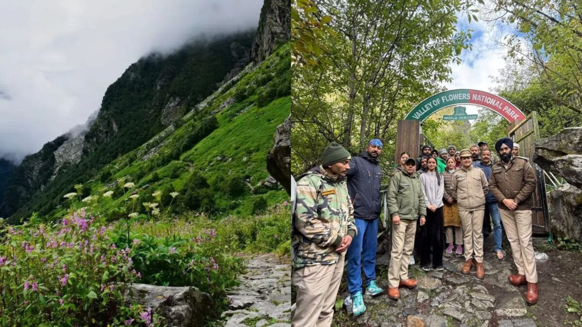 Uttarakhand’s Valley Of Flowers Reopens: UNESCO Wonder With 300+ Flower Species Awaits Trekkers