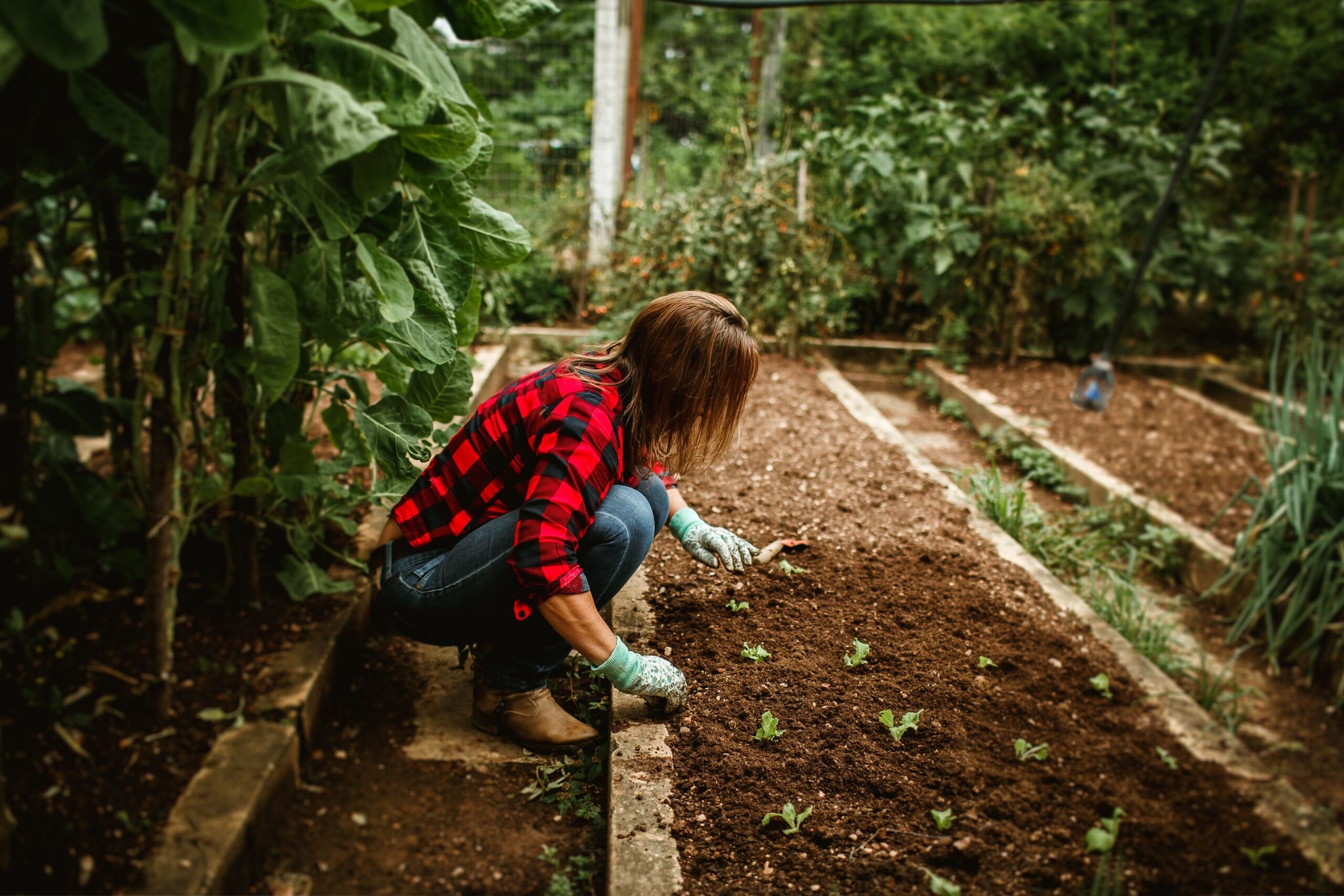 10 Simple Steps To Start Organic Gardening At Home