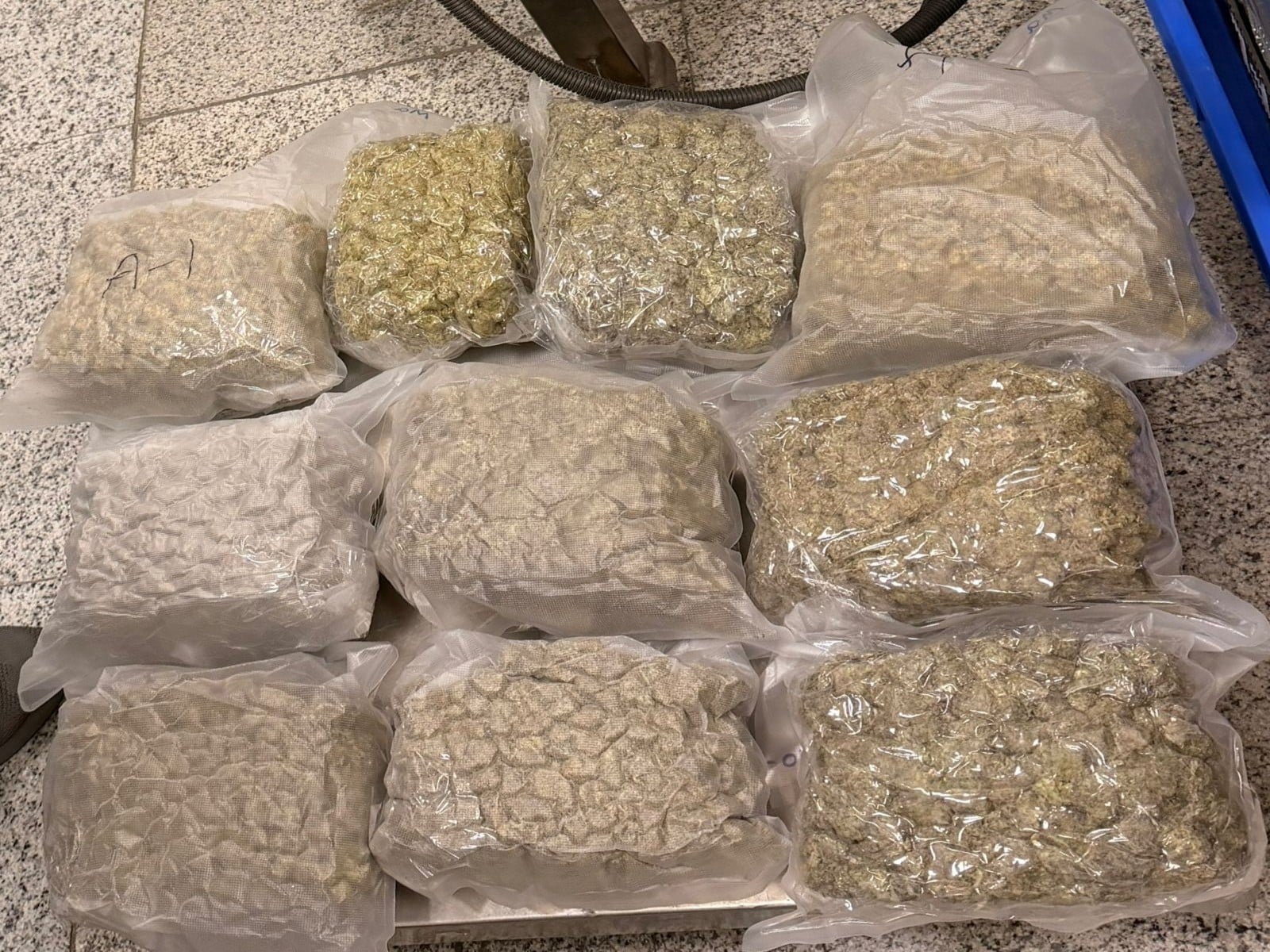 Representative image: customs officials with seized vacuum-sealed packets of hydroponic weed at an Indian airport Representative image: customs officials with seized vacuum-sealed packets of hydroponic weed at an Indian airport