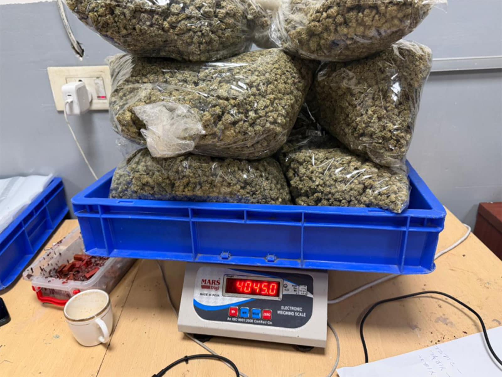 Representative image: customs officials with seized vacuum-sealed packets of hydroponic weed at an Indian airport Representative image: customs officials with seized vacuum-sealed packets of hydroponic weed at an Indian airport