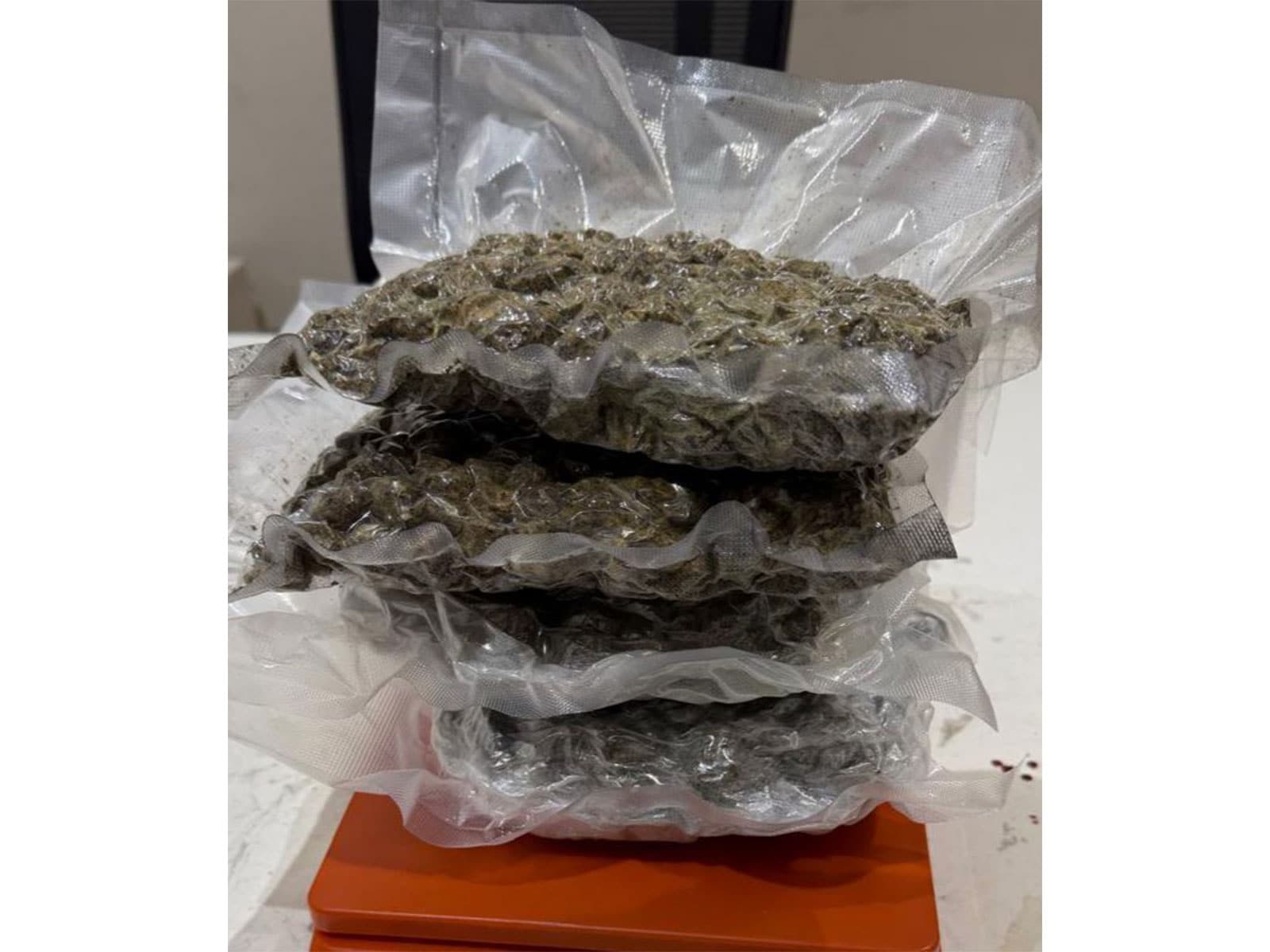 Representative image: customs officials with seized vacuum-sealed packets of hydroponic weed at an Indian airport Representative image: customs officials with seized vacuum-sealed packets of hydroponic weed at an Indian airport