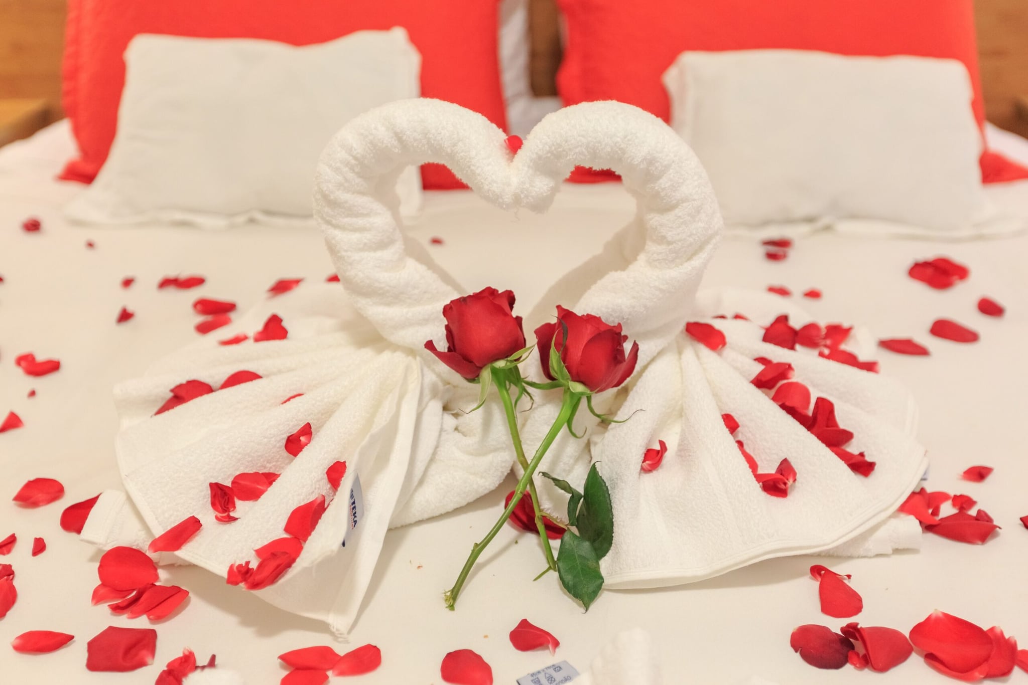 Why Do Hotels Fold Towels Into Swans? Why Do Hotels Fold Towels Into Swans?