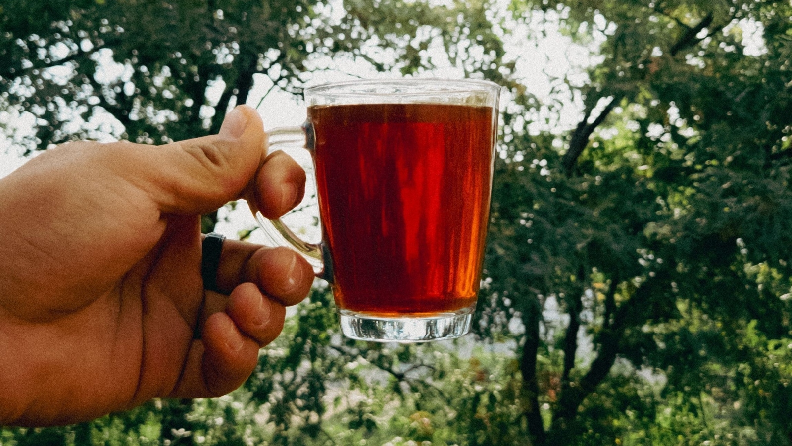 As Monsoon Finally Hits Mumbai, Enjoy These 5 Healing Teas As The Rains