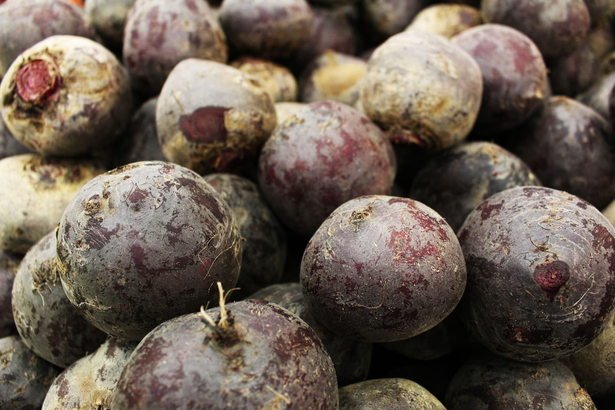 Rich in Essential Nutrients: Beets are a fantastic source of vital vitamins and minerals while remaining low in calories. They deliver a concentrated dose of folate (Vitamin B9), manganese, potassium, iron, and vitamin C with every serving.