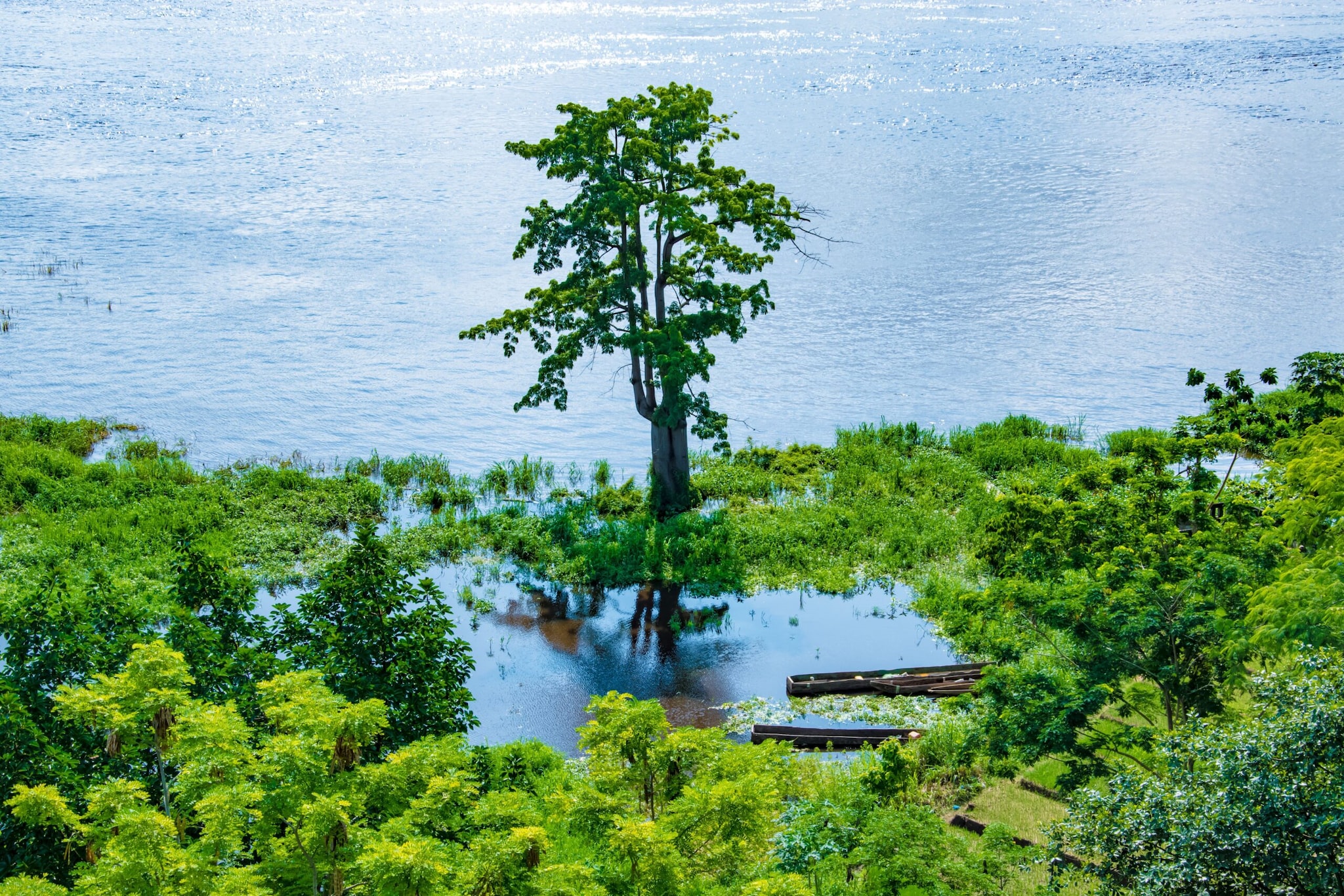 Republic of the Congo (150,777 m3/capita): Dominating central Africa's wet equatorial belt, this nation benefits directly from the immense Congo River basin system. Continuous heavy rain over the dense jungle ensures vast, renewable surface water reserves that vastly outpace the country’s current domestic population size.