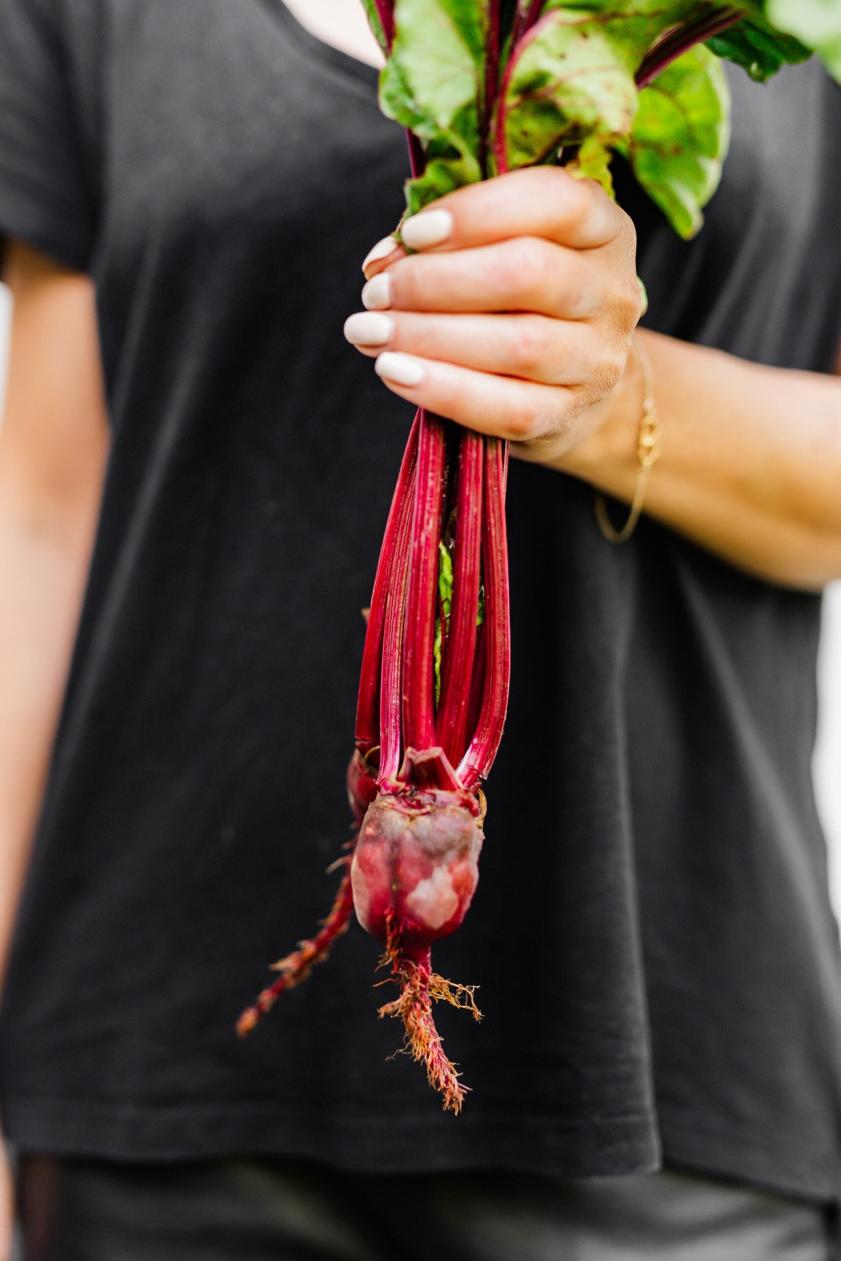 Should You Add Beetroot To Your Diet?