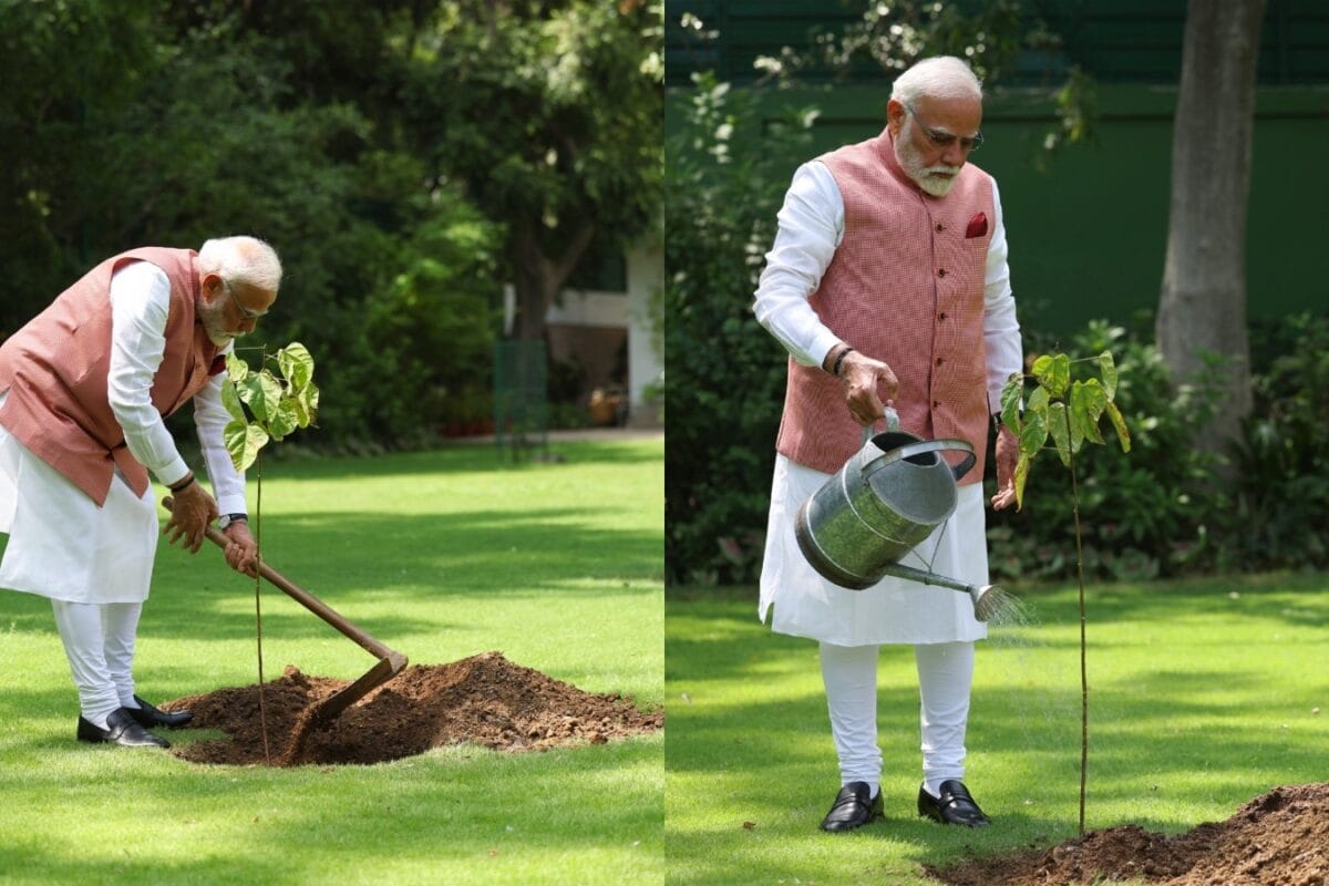 World Environment Day 2026: PM Modi’s Green Initiatives And India’s Climate Push Explained