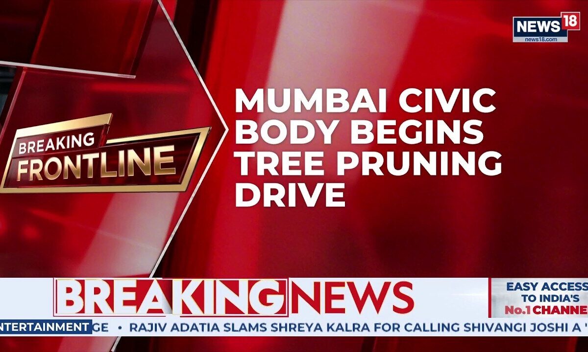 Mumbai Rains: BMC Begins Tree Pruning Amid Flooding | Civic Failure or Damage Control? | News18