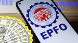 EPF Interest Credited? Here's How to Check If FY2025-26 Interest Has Been Added to Your PF Account
