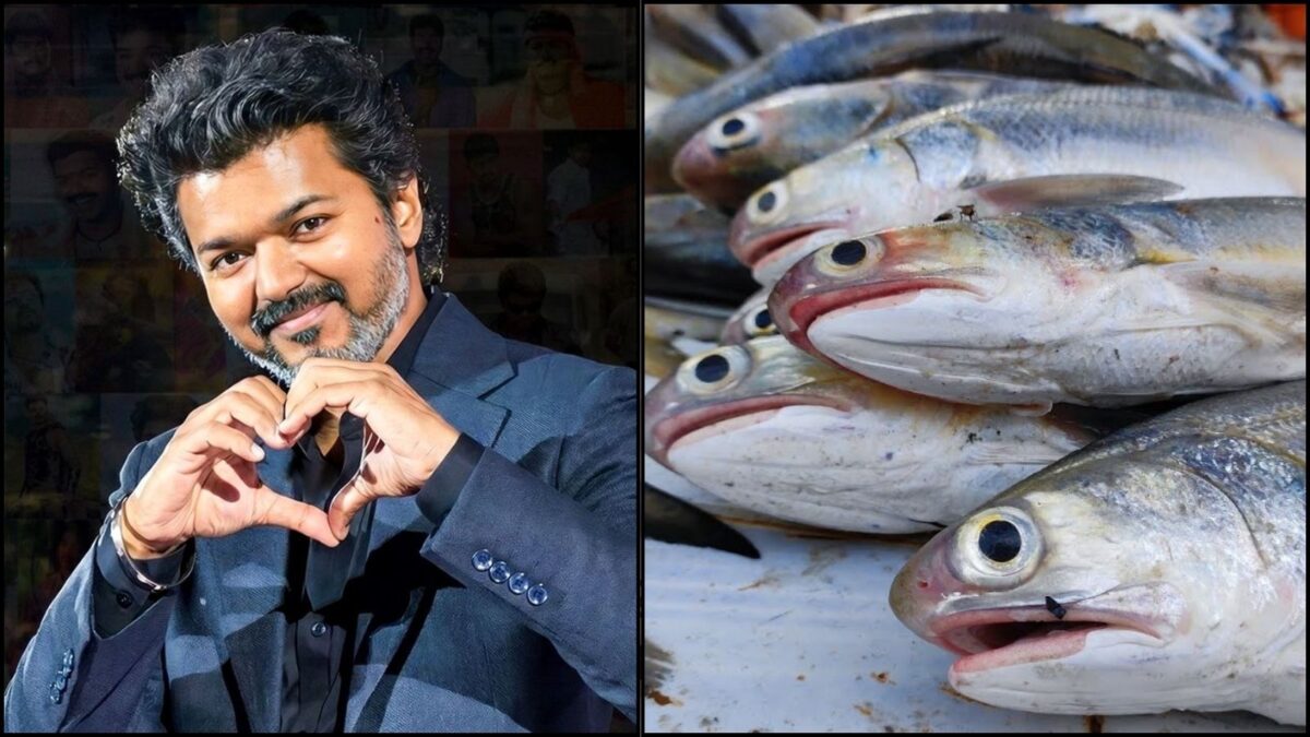 Tamil Nadu CM Vijay's Salmon Diet for Fitness