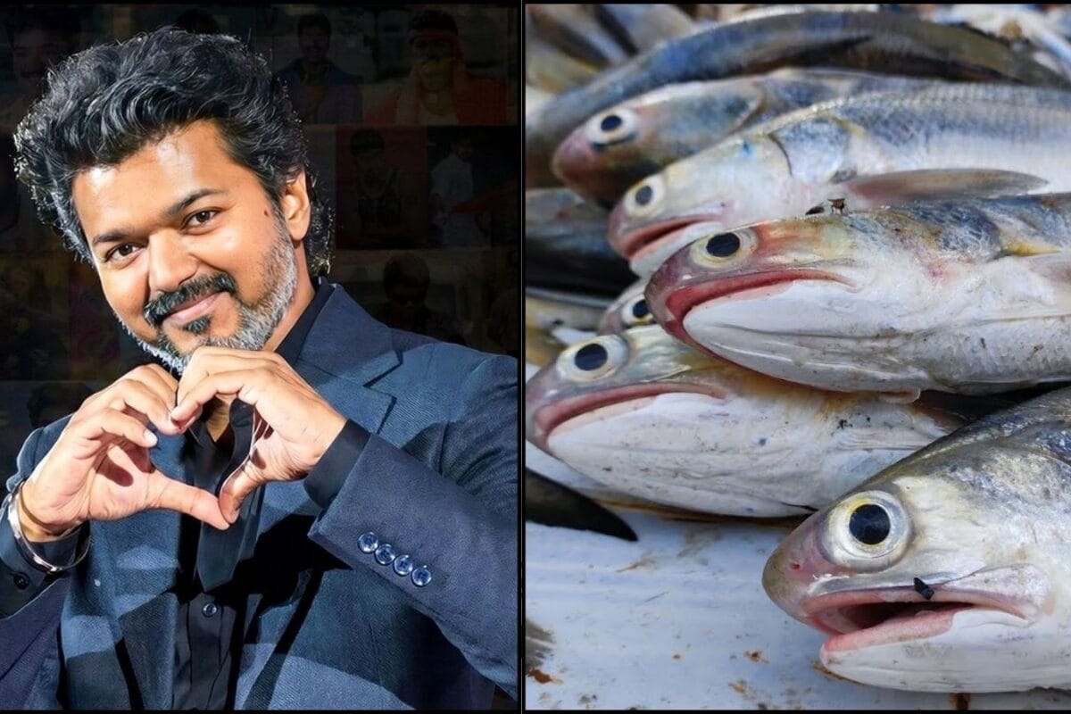 At 52, Tamil Nadu CM Vijay Stays Fit With This Fish In His Diet—And It's Packed With Nutrients