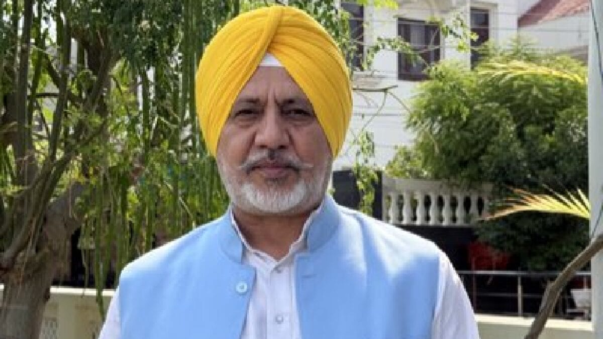 AAP Says Bhagwant Mann Govt Delivering Free Power, Water, Women's Aid; Claims Attack From 'Team ABC'