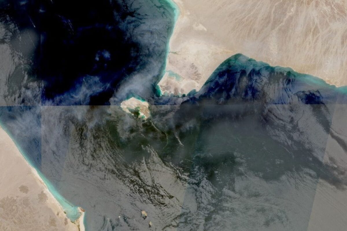 Saudi Arabia, 13 Other Nations Form Maritime Defence Alliance To Secure Red Sea Routes