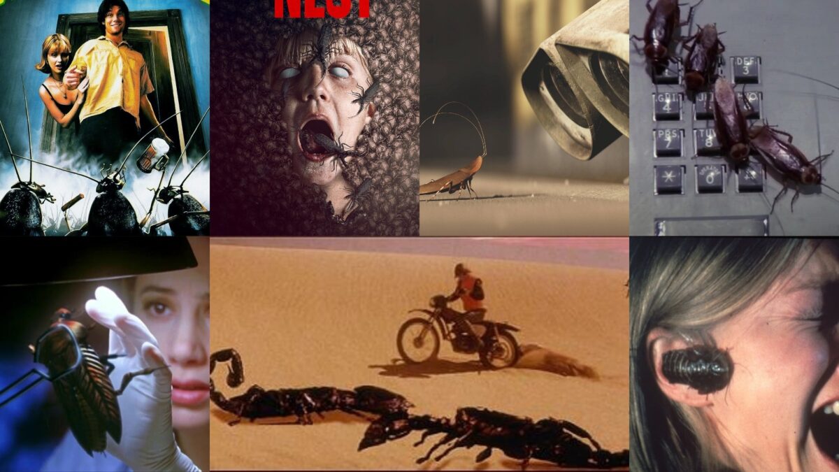 News thumbnail