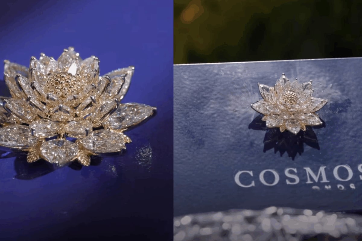 The Most Unexpected Passenger On India's Vikram-1 Rocket? A Bengaluru-Made Diamond Lotus