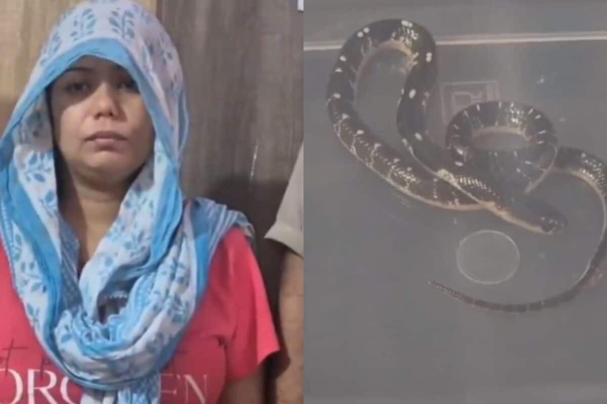 Meerut Snake Murder Accused Cries Through Day 1 In Jail, May Share Barracks With 'Blue Drum' Accused
