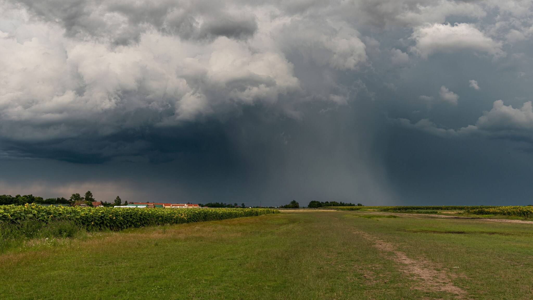 Centuries later, astronomer and scholar Varahamihira expanded these ideas further. In his work Brihat Samhita, written in the 6th century CE, he described links between rainfall, celestial events, and atmospheric conditions. As per some researchers, parts of these observations resemble concepts found in modern meteorology. (Image: Pexels)