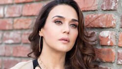 The Bombay High Court asked parties to work on removing AI deepfakes featuring Preity Zinta.