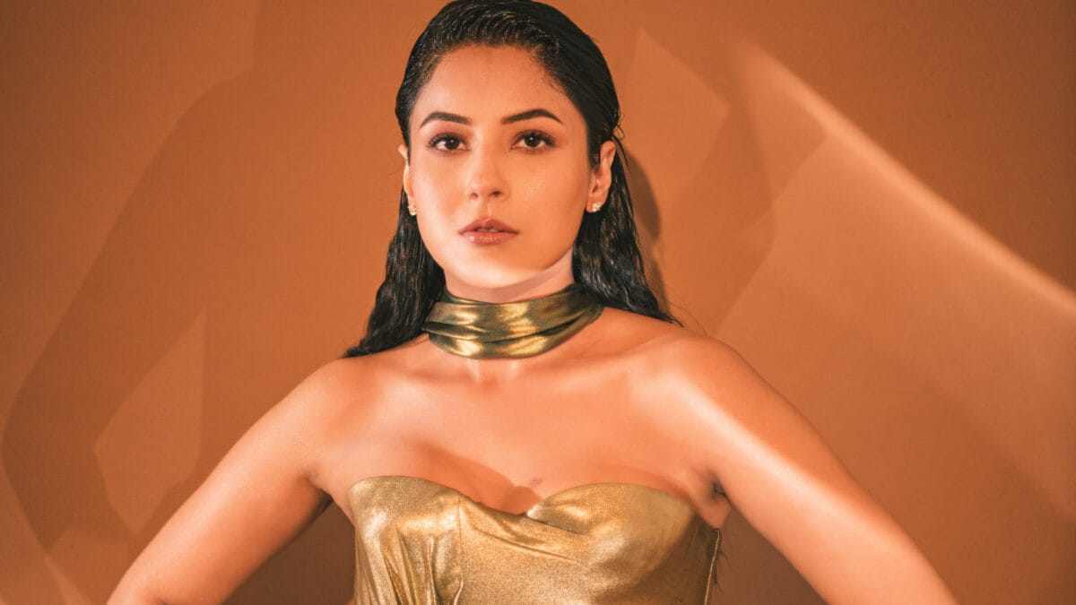 'Moving On Isn't A Problem': Shehnaaz Gill On Need To 'Respect' Ex Even After Finding New Love