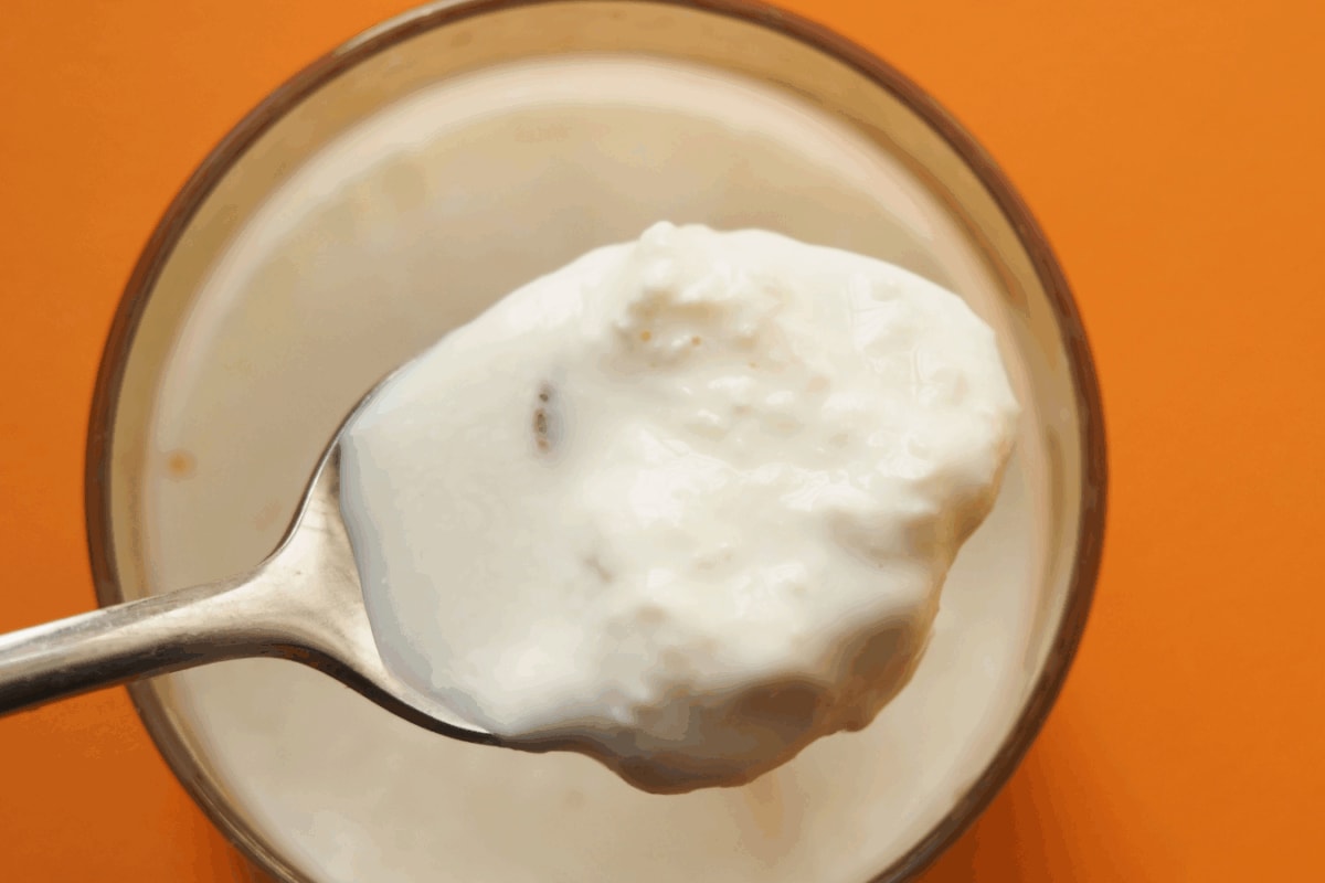 Got Leftover Milk Cream? Here's How To Store It For Homemade Ghee
