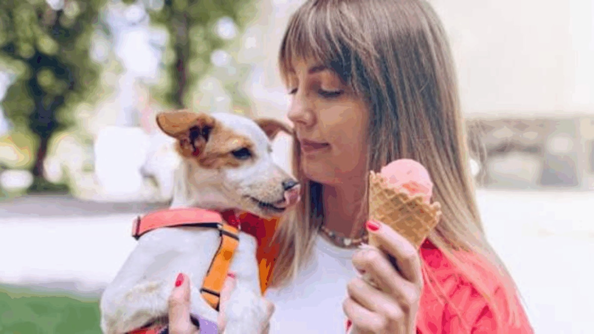 Can Dogs Eat Ice Cream? Experts Warn of Risks