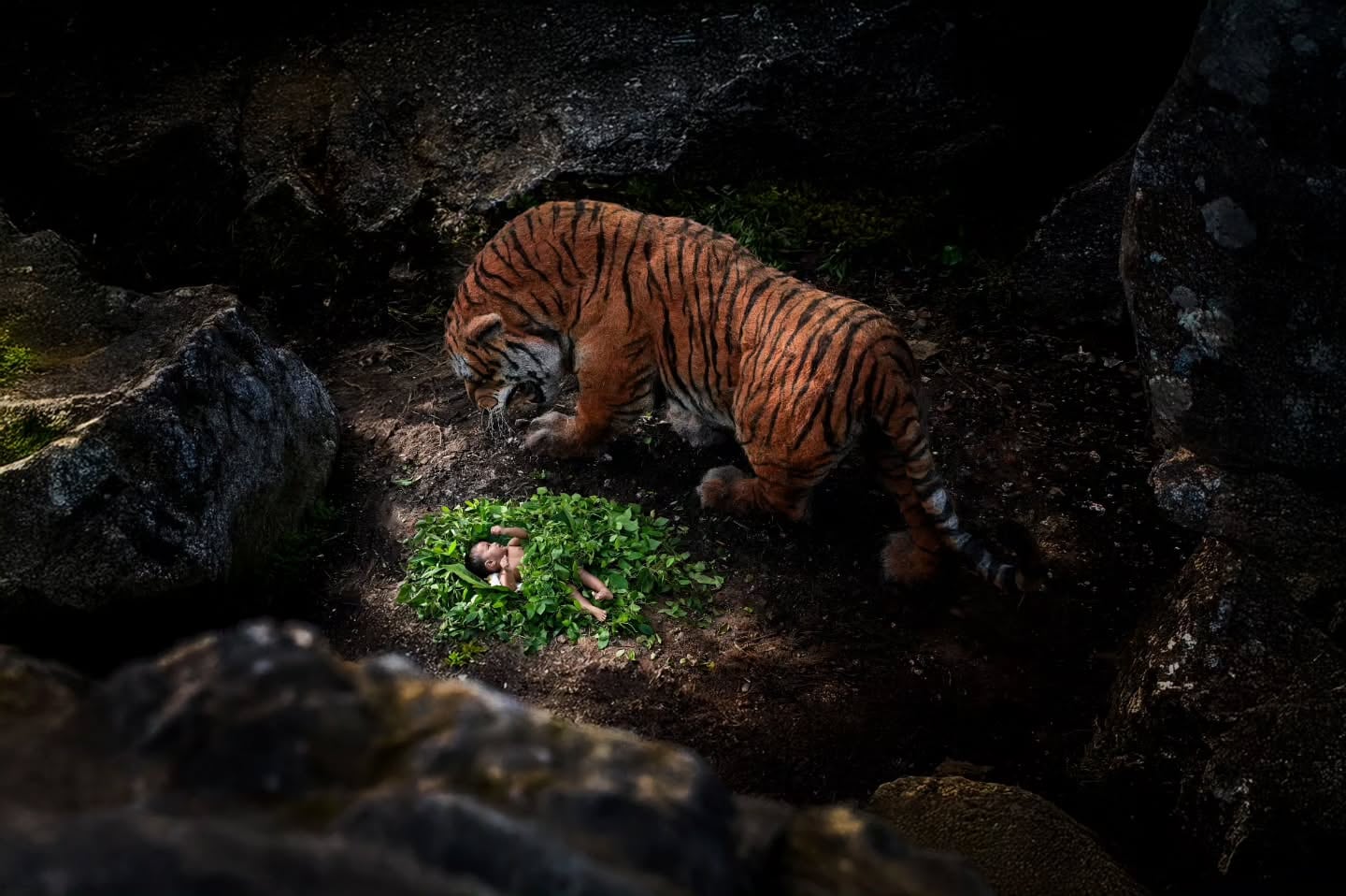 In Kerala, artist Sreejith S S used discarded materials in his workshop to recreate Kantara’s tiger. With the sharp eyes, tense body, and wild texture, the sculpture feels as though it has stepped straight out of the film. (Image: Instagram/@gypsy_art) In Kerala, artist Sreejith S S used discarded materials in his workshop to recreate Kantara’s tiger. With the sharp eyes, tense body, and wild texture, the sculpture feels as though it has stepped straight out of the film. (Image: Instagram/@gypsy_art)