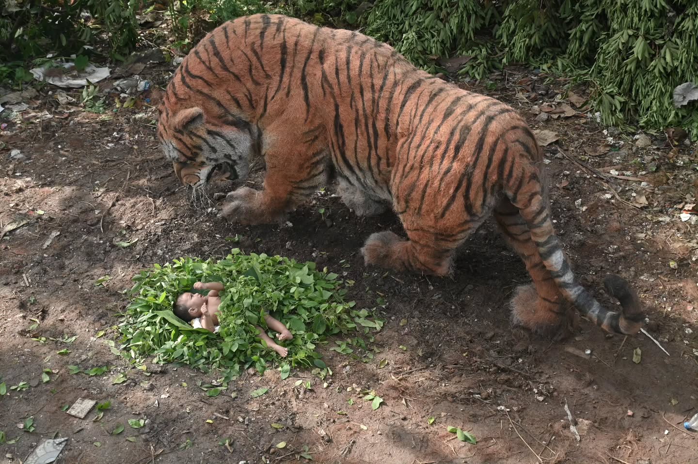 For the fur, Sreejith used coconut fibre husk, giving the tiger its rugged texture and raw presence. (Image: Instagram/@gypsy_art) For the fur, Sreejith used coconut fibre husk, giving the tiger its rugged texture and raw presence. (Image: Instagram/@gypsy_art)